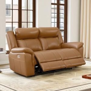 Recliner Leather Sleeper Sofas